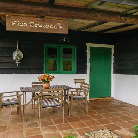 Villa Pajon Eco Lodge Constanza Exterior photo