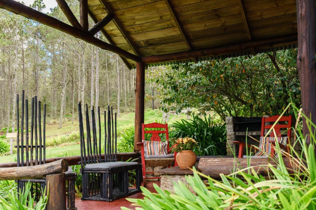 Villa Pajon Eco Lodge Constanza Exterior photo