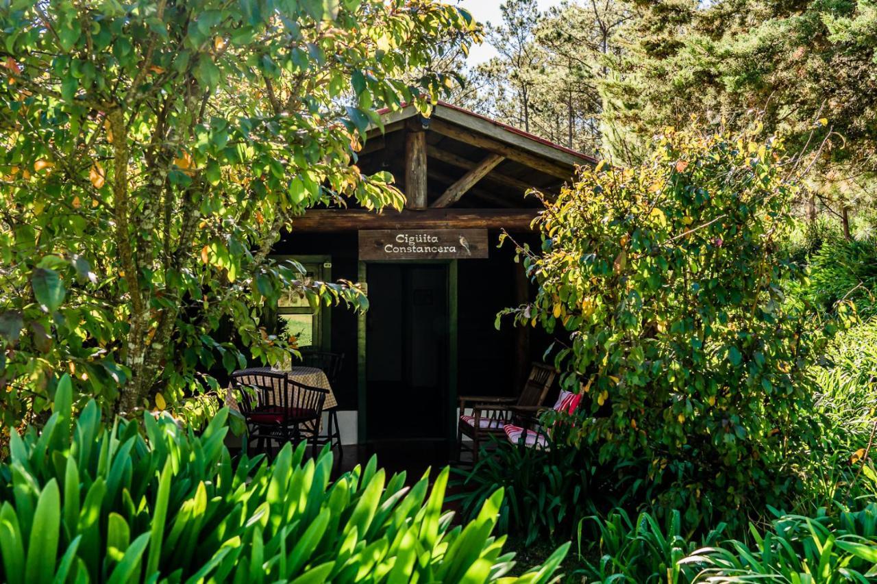 Villa Pajon Eco Lodge Constanza Exterior photo