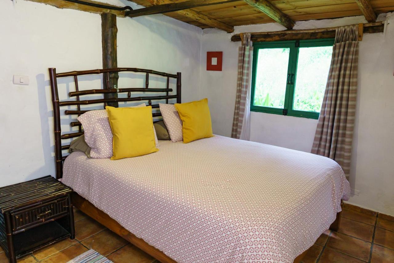 Villa Pajon Eco Lodge Constanza Exterior photo