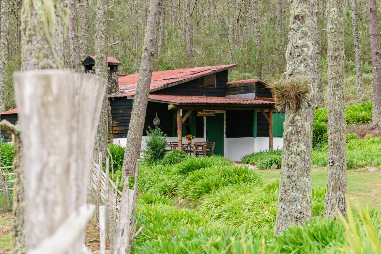 Villa Pajon Eco Lodge Constanza Exterior photo