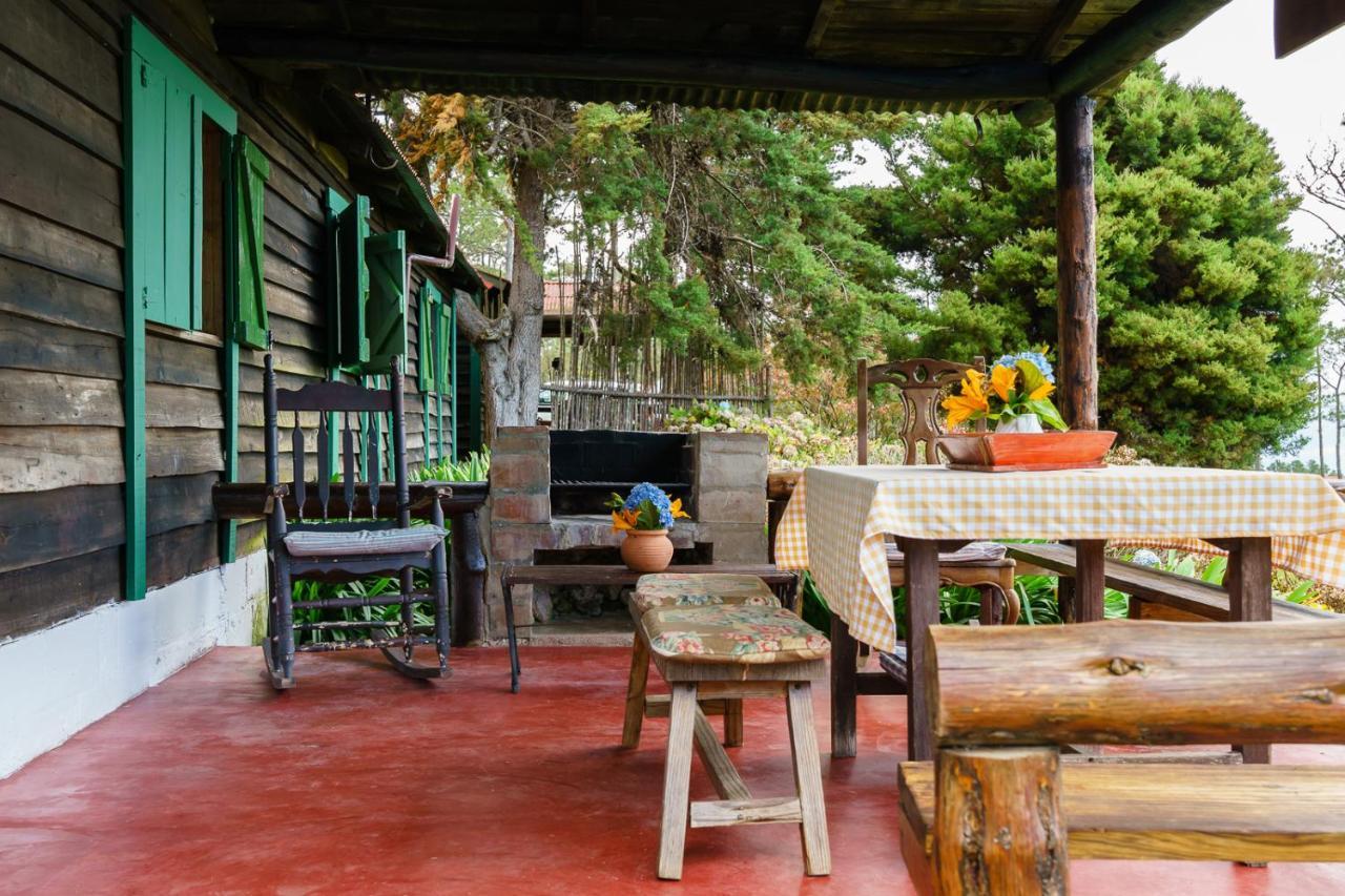 Villa Pajon Eco Lodge Constanza Exterior photo
