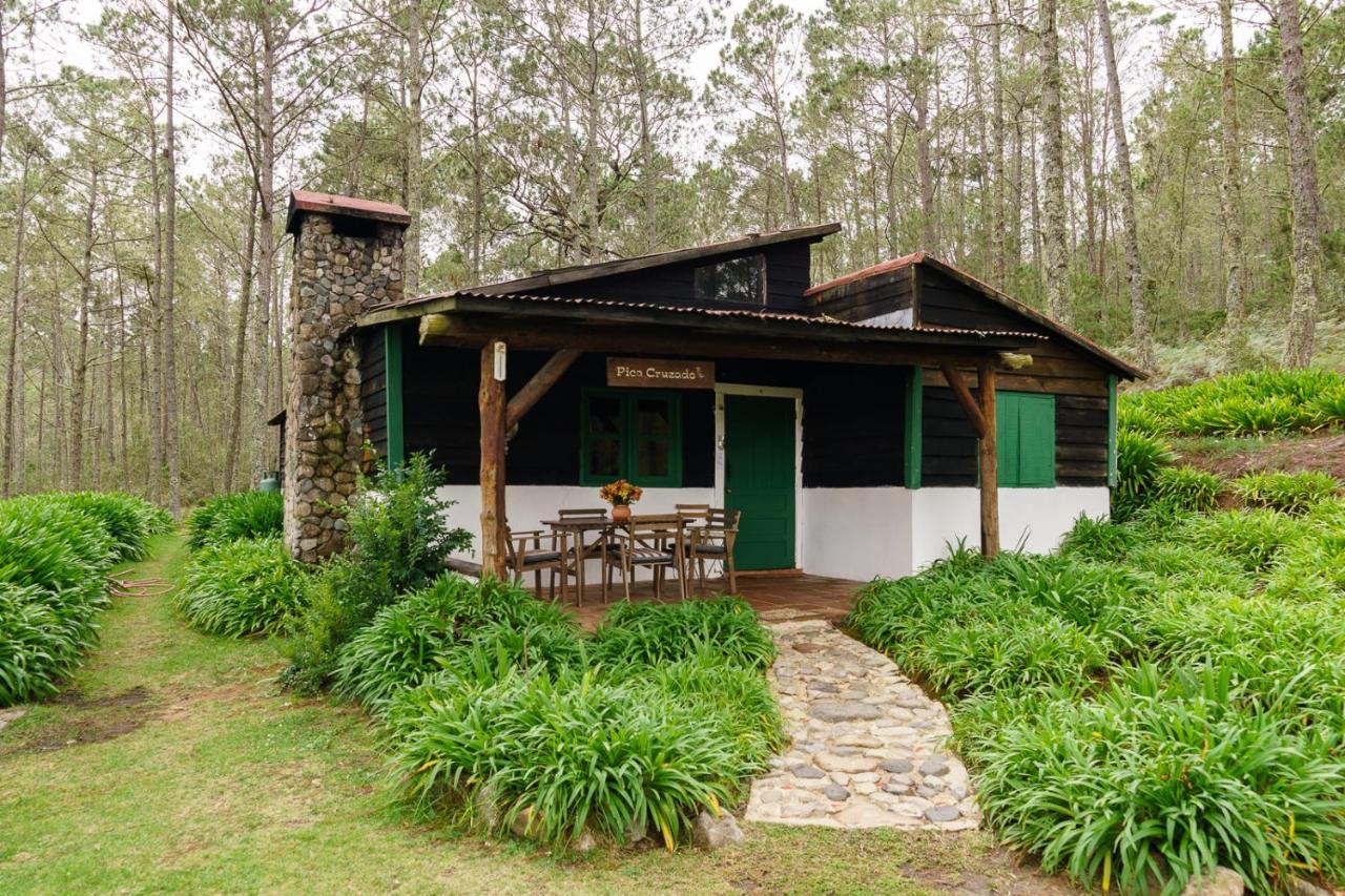 Villa Pajon Eco Lodge Constanza Exterior photo
