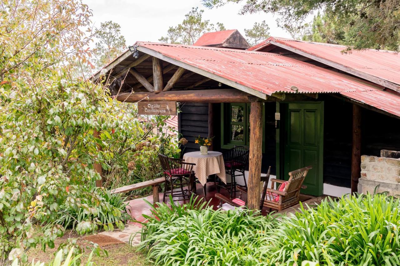 Villa Pajon Eco Lodge Constanza Exterior photo