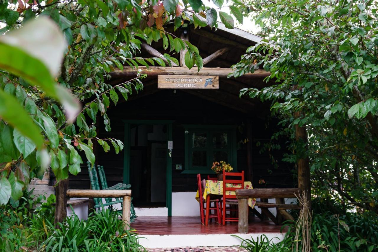 Villa Pajon Eco Lodge Constanza Exterior photo