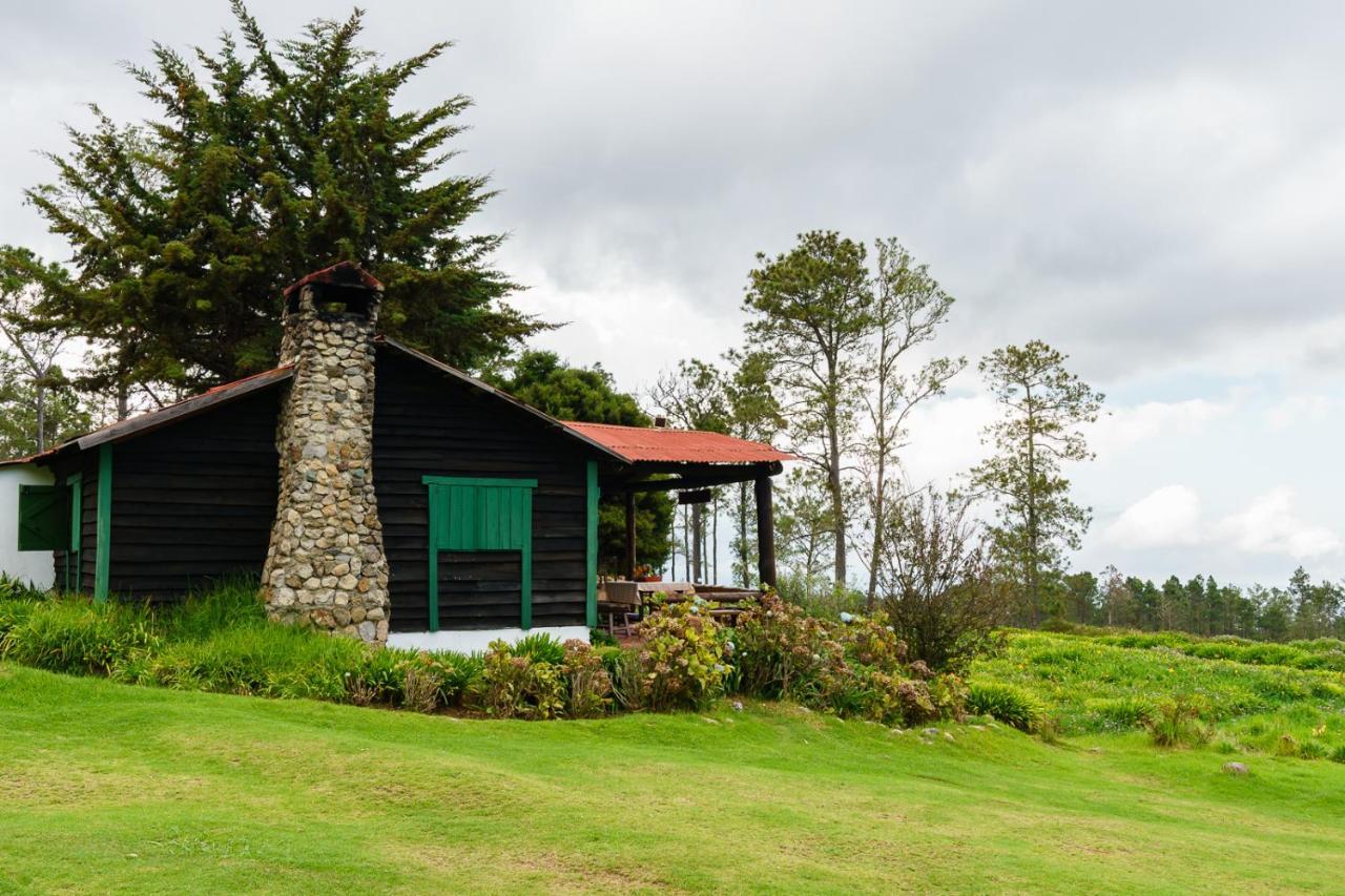 Villa Pajon Eco Lodge Constanza Exterior photo