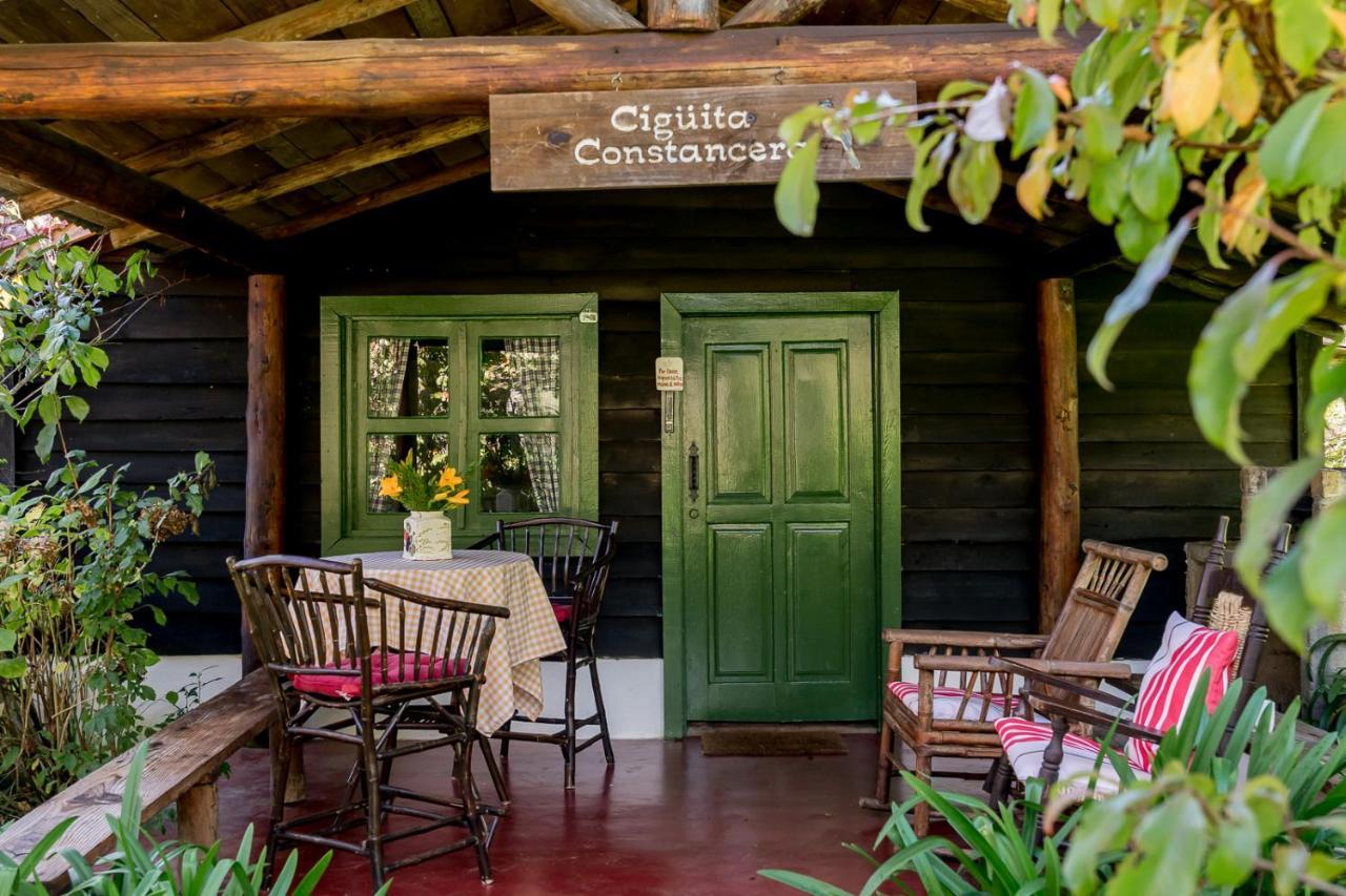 Villa Pajon Eco Lodge Constanza Exterior photo