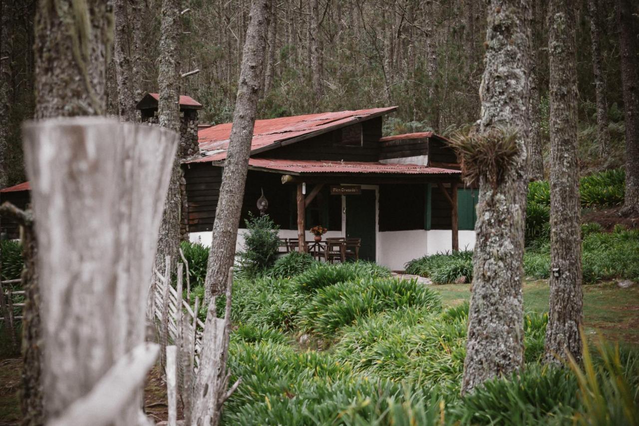 Villa Pajon Eco Lodge Constanza Exterior photo