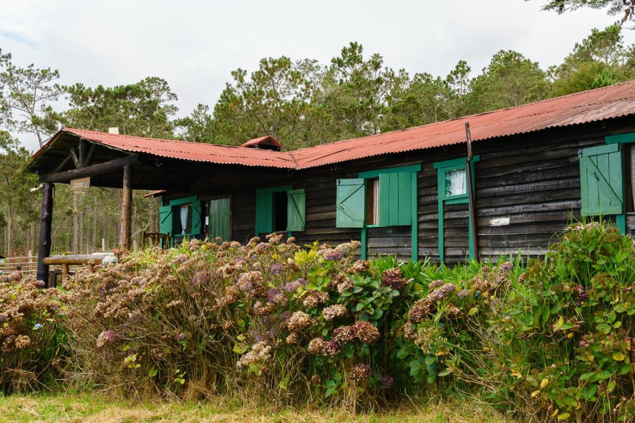 Villa Pajon Eco Lodge Constanza Exterior photo