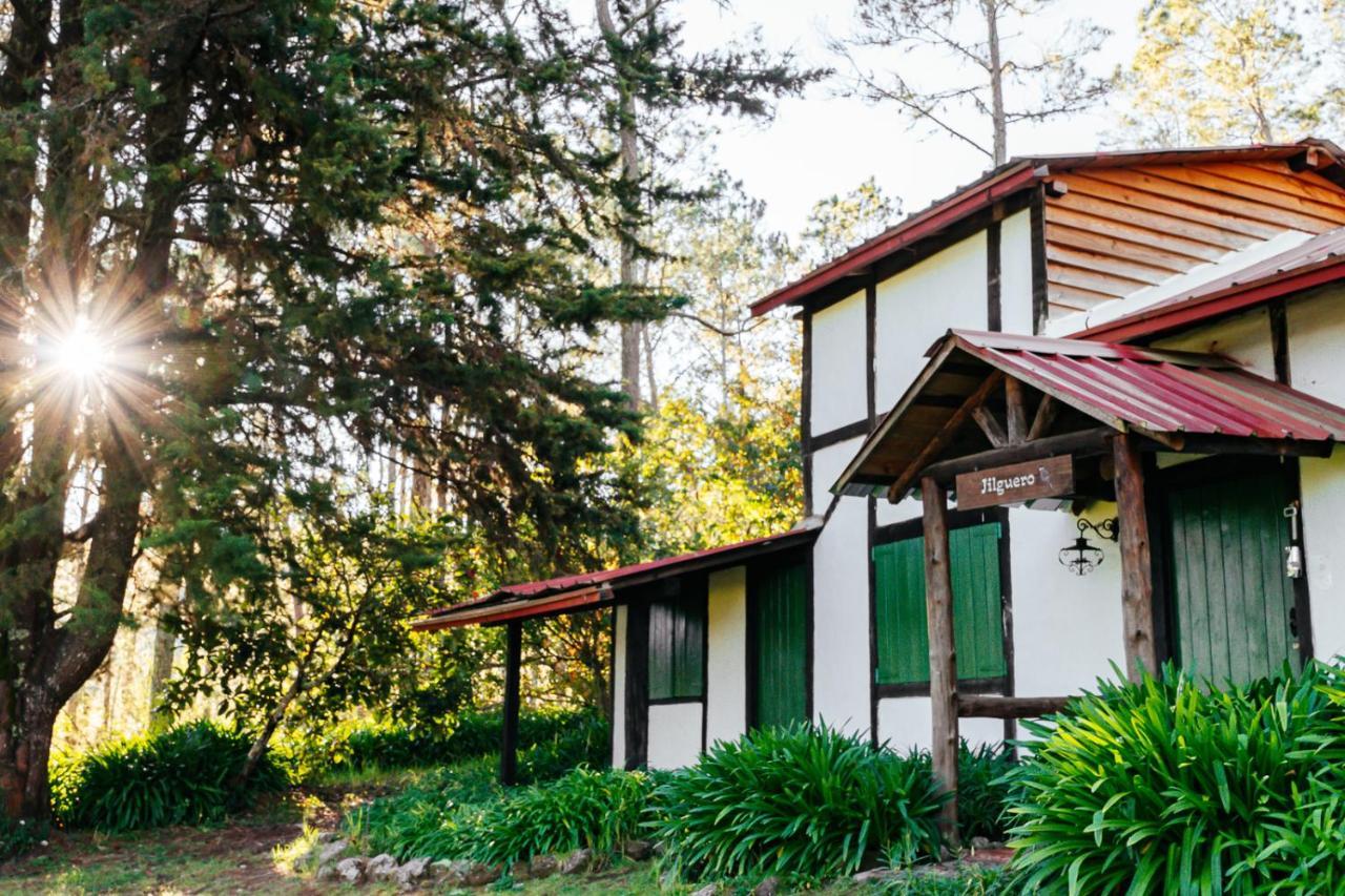 Villa Pajon Eco Lodge Constanza Exterior photo