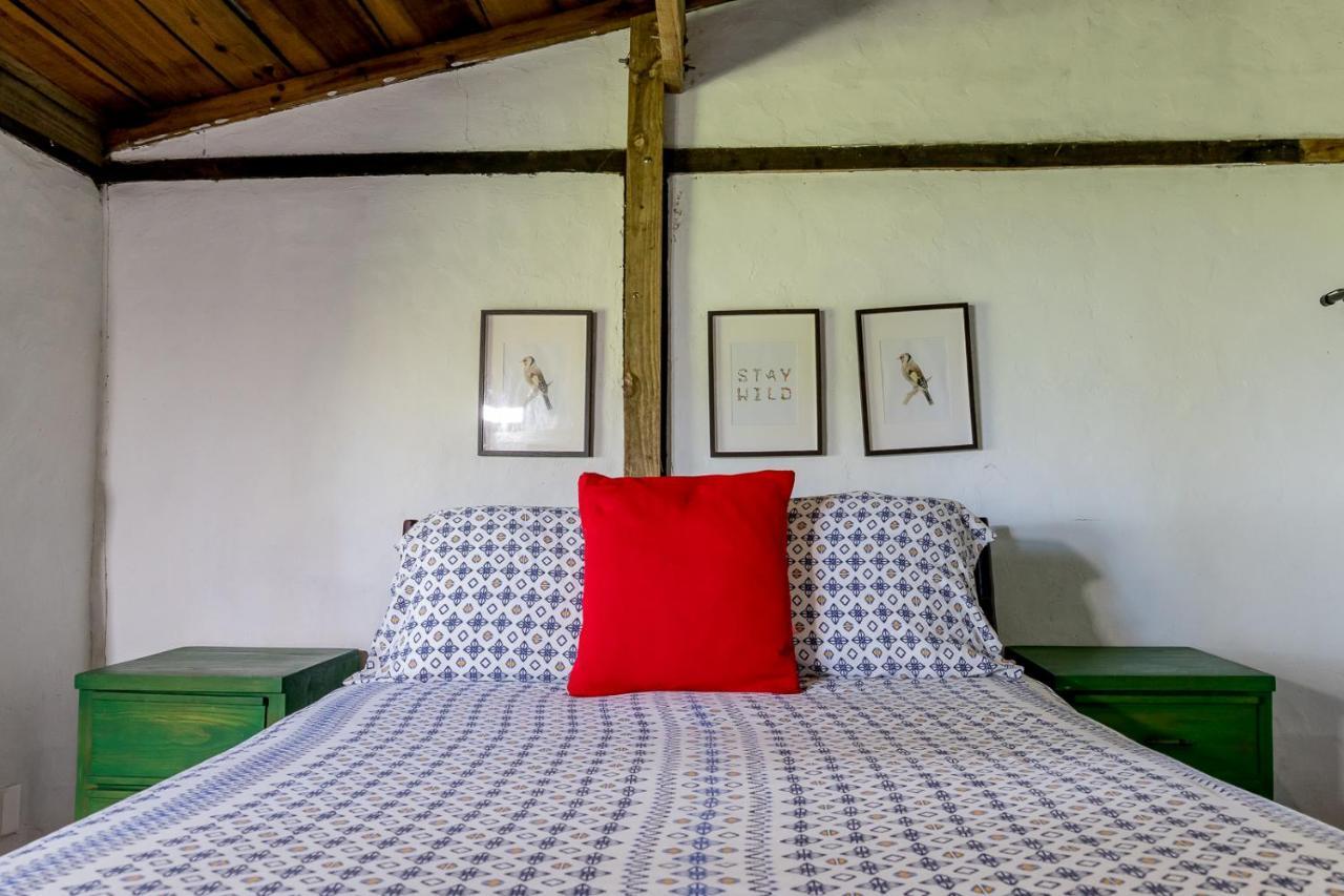 Villa Pajon Eco Lodge Constanza Exterior photo